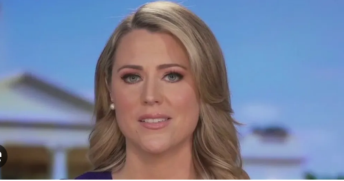 Erin Perrine Age, Net Worth, Family, Career ,height and weight 2025